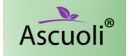 Ascuoli